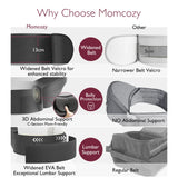 Momcozy Hip Seat Carrier - Pandaloo